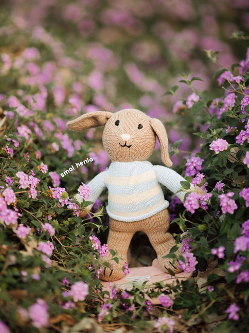 Mighty Smols in a sweater