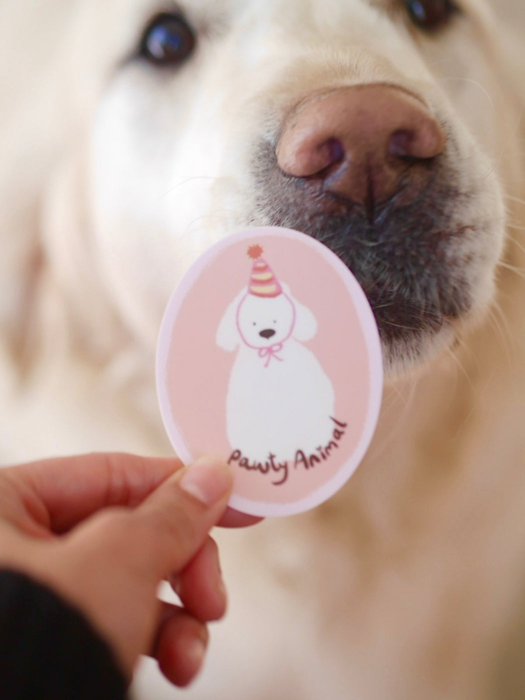 Sticker : Pawty Animal