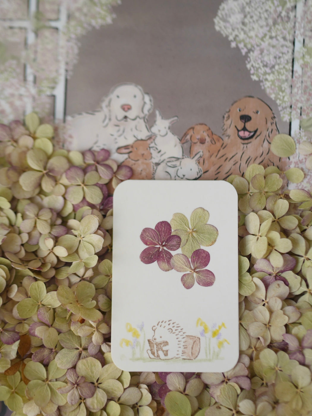 September Snail Mail